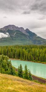 Nature,Rivers,Sky,Mountains,Clouds,Spruce,Fir,Forest