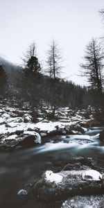 Noyaux,Nature,Arbres,Neige,Rivières