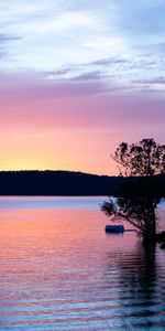 Nature,Rivers,Sunset,Wood,Ripples,Ripple,Tree,Hill