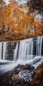 Река,Природа,Деревья,Пейзаж,Водопад,Осень