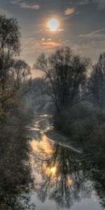 Nature,Rivers,Trees,Branches,Sun