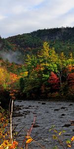 Nature,Rivers,Trees,Forest,Autumn