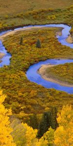 Петля,Gunnison National Forest,Изгибы,Winding Creek,Колорадо,Деревья,Река,Лес,Природа,Осень