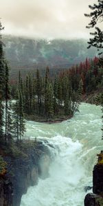 Nature,Rivers,Trees,Forest,Flow,Spruce,Fir,Stream,Island