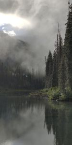 Nature,Rivers,Trees,Forest,Fog,Darkness