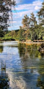 Nature,Rivers,Trees,Grass