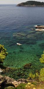 Nature,Rivers,Trees,Grass,Sea,Shore,Bank