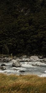 Nature,Rivers,Trees,Grass,Stones,Flow