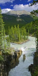 Nature,Rivers,Trees,Greens,Island,Islet,Reserve,Forest