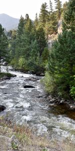 Paisaje,Naturaleza,Árboles,Ríos