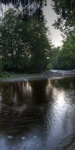 Nature,Rivers,Trees,Landscape