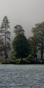 Naturaleza,Ríos,Árboles,Niebla,Isla,Paisaje