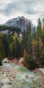 Nature,Rivers,Trees,Mountain,Landscape