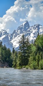 Nature,Rivers,Trees,Mountain,Landscape