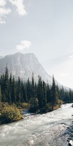 Naturaleza,Ríos,Árboles,Montañas,Bosque,Flujo,Ato,Corriente,Comió