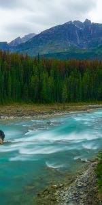 Nature,Rivers,Trees,Mountains,Rocks,Landscape