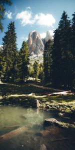 Naturaleza,Árboles,Montañas,Las Rocas,Rocas,Abeto,Ríos