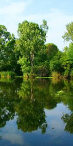 Naturaleza,Ríos,Árboles,Verano,Reflexión