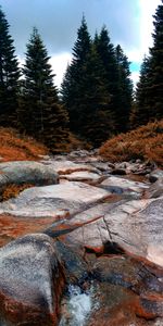 Nature,Rivers,Trees,Rock,Spruce,Fir,Stone