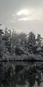 Nature,Rivers,Trees,Sky