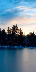 Nature,Rivers,Trees,Sky,Evening