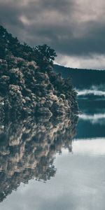 Naturaleza,Ríos,Árboles,Cielo,Niebla