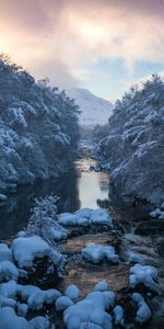 Naturaleza,Ríos,Árboles,Cielo,Nieve,Montaña,Fluir,Flujo