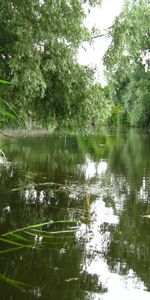 Nature,Rivers,Trees,Summer