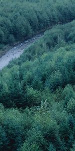 Nature,Rivers,Trees,Top,Conifers,Coniferous,Forest,Height,Tops