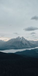 Nature,Rivers,Trees,Vertex,Forest,Snow Covered,Snowbound,Mountains,Tops