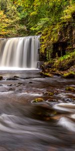 Nature,Rivières,Arbres,Cascade,Couler,Ruisseau