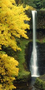 Cascada,Naturaleza,Ríos,Fluir,Otoño,Flujo