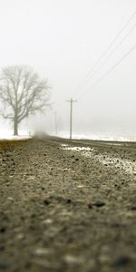 Naturaleza,Macro,Camino,Niebla,Asfalto