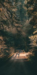 Nature,Road,Branches,Lonely,Trees,Forest,Human,Person,Loneliness,Alone