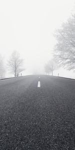 Nature,Road,Bw,Winter,Snow,Direction,Trees,Fog,Chb