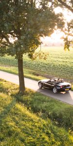 Nature,Road,Car,Cabriolet,Sunlight,Cars