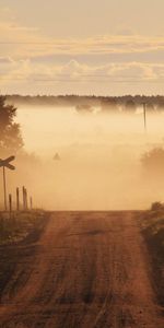 Nature,Road,Crossing,Signs,Fog,Moving