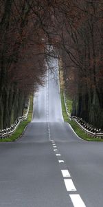 Intermittent,Asphalte,Descente,Montée,Lever,Nature,Route,Balisage,Paysage