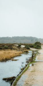 Naturaleza,Camino,Charco,Mojado