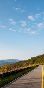 Nature,Road,Turn,Asphalt