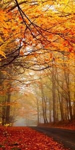 Naturaleza,Paisaje,Carreteras