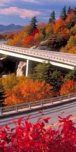 Nature,Roads,Landscape