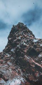 Nature,Rock,Ballestas Island,Stones,Peru,Birds