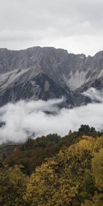 Nuages,Forêt,Nature,Arbres,Rocheux,Rocher,Montagnes