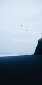 Nature,Rock,Silhouette,Loneliness,Waves,Birds,Storm,Beach