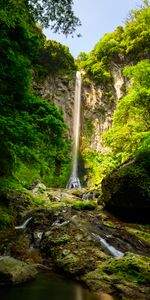 Se Rompre,Précipice,Nature,Rocheux,Rocher,Cascade,Plantes