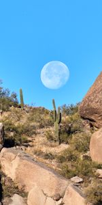 Nature,Roches,Les Rochers,Lune,Cactus,Paysage