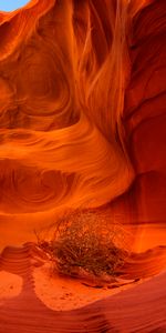 Nature,Rocks,Dry,Brown,Canyon,Plant