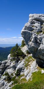 Paisaje,Verduras,Las Rocas,Naturaleza,Rocas