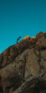 Nature,Rocks,Plant,Sky,Minimalism